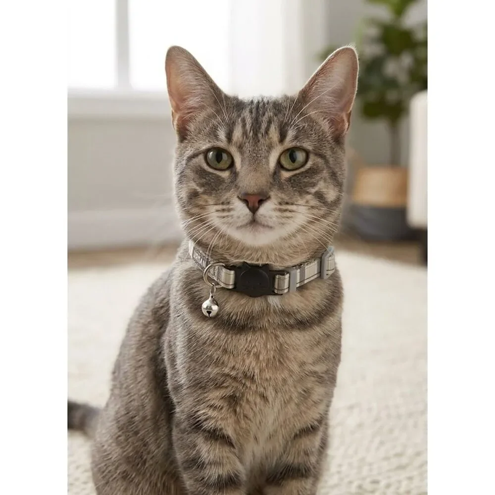 NWT Petco Plaid Pet Cat Collar Breakaway Clasp with Bell